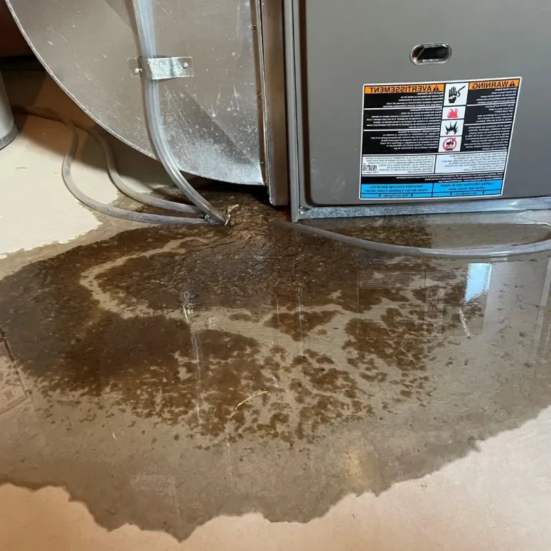 Pipe Burst and Leak Restoration in Hamburg, NJ