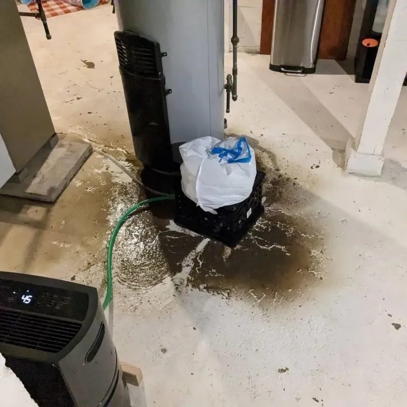 Sewage Backup Cleanup Service in Hamburg, NJ